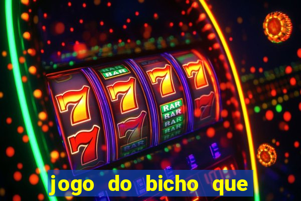 jogo do bicho que paga no pix